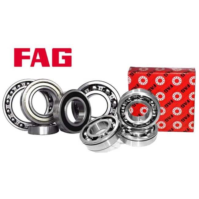 FAG Bearings